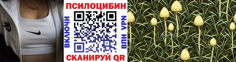 Псилоцибиновые грибы MAGIC MUSHROOMS  где можно купить   Киров 